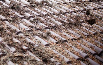 Iken roof cleaning companies