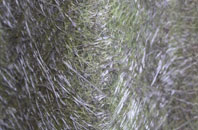 Iken fibreglass roof work